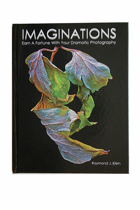 Raymond Klein - Imaginations