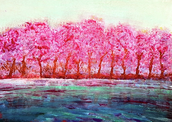 Lucia Waterson - Impressions of cherry blossom in Kyoto