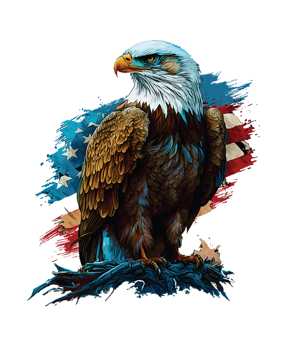 Independence Now And Forever American Bald Eagle America Greeting Card ...