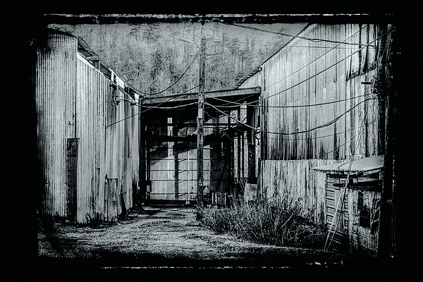 Sharon Popek - Industrial Barn Tintype