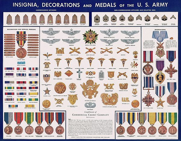 Military chart us insignia United States
