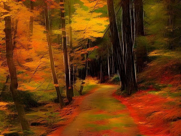 Tree Photographs