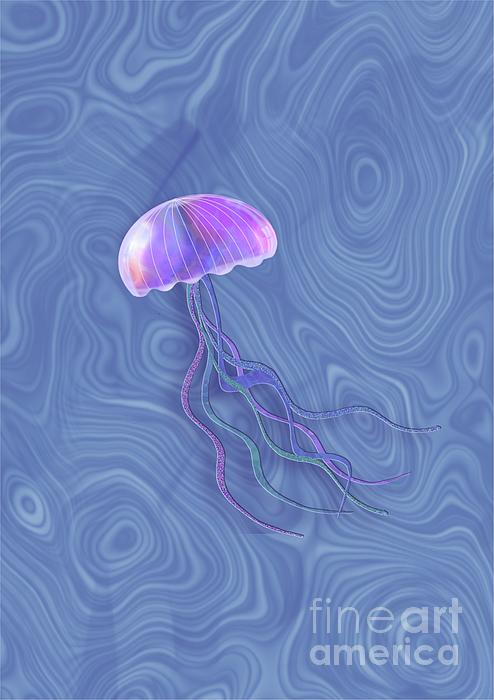 Iridescent Jellyfish