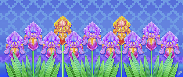 Tim Phelps - Iris Art Deco Garden