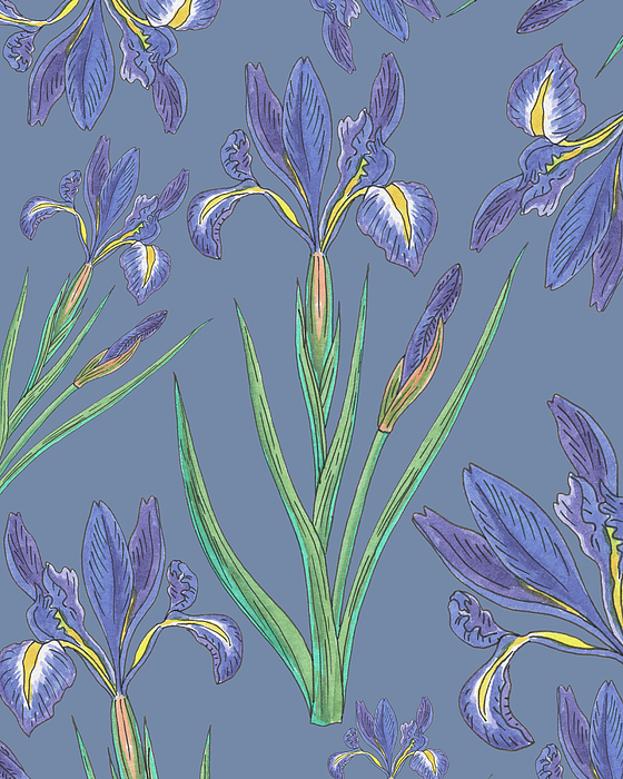 Irina Sztukowski - Iris Flower Watercolor Pattern On Soft Pastel Dusty Indigo Blue