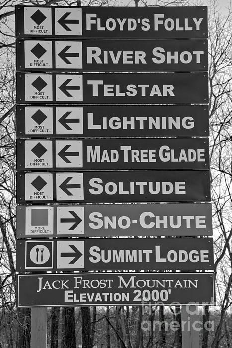 Ski Signage Ornaments