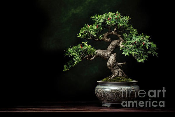 https://images.fineartamerica.com/images/artworkimages/medium/3/japanese-bonsai-tree-in-ceramic-pot-traditional-tree-with-red-berries-over-dark-background-jane-rix.jpg