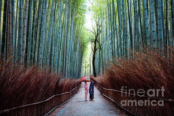 https://images.fineartamerica.com/images/artworkimages/medium/3/japanese-couple-at-arashiyama-bamboo-grove-kyoto-japan-matteo-colombo.jpg