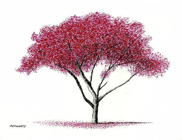 Tree Drawings