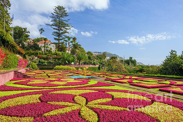 Neale And Judith Clark - Funchal Botanical Gardens,Jardim Botanico, Funchal, Madeira, Portugal, EU, Europe