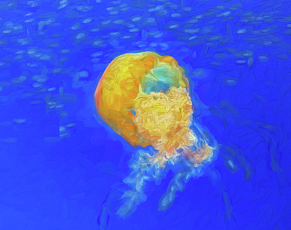 Kevin Lane - Jellyfish in Blue