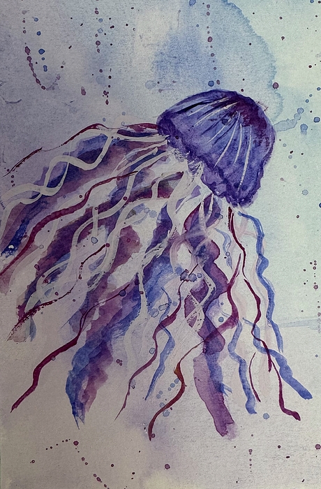 Phyllis Weiss - Jellyfish