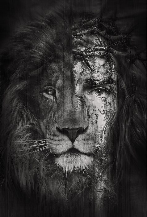 Jesus Lion Wallpapers