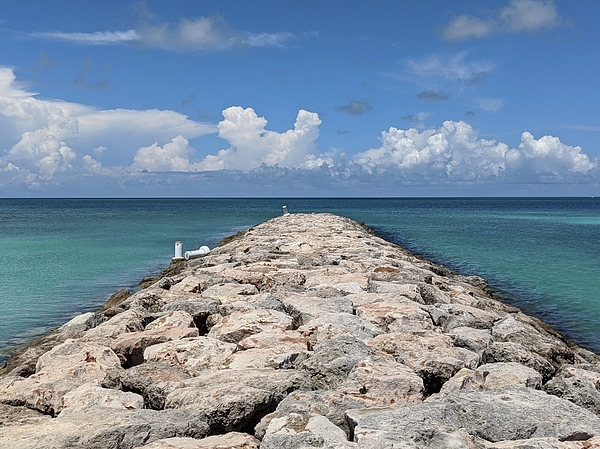 Ocean Jetty Coffee Mug