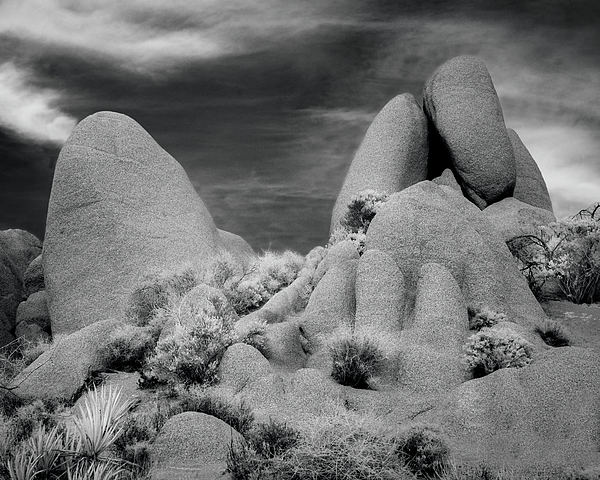Jerry Fornarotto - Joshua Tree Desert Rocks Infrared