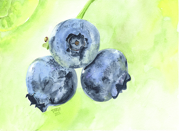 Taphath Foose - Juicy Blueberries