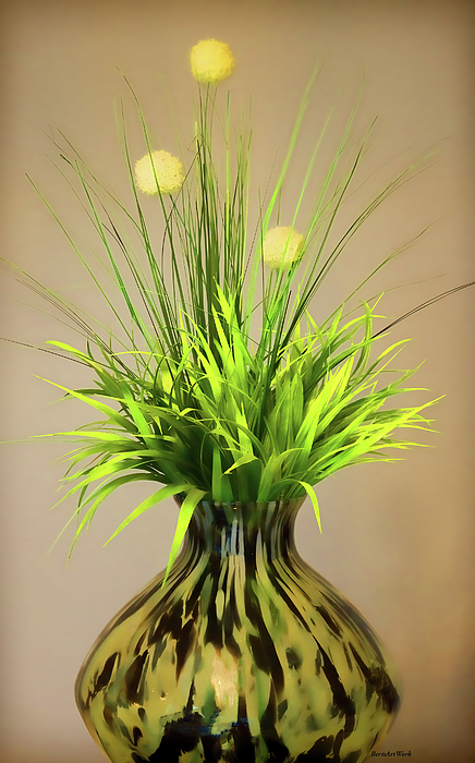 Flowers Still Life Photographs