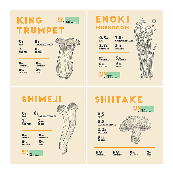 King Oyster Mushroom and Shimeji Mushroom and Shitake Mushroom O