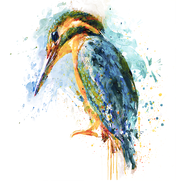 Marian Voicu - Kingfisher Bird 