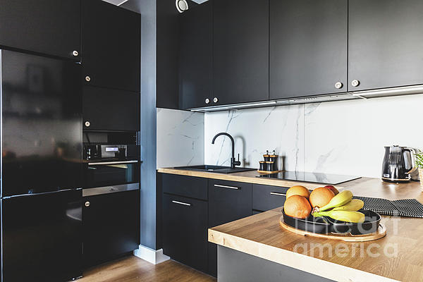 https://images.fineartamerica.com/images/artworkimages/medium/3/kitchen-in-a-modern-studio-apartment-for-rent-interior-design-michal-bednarek.jpg