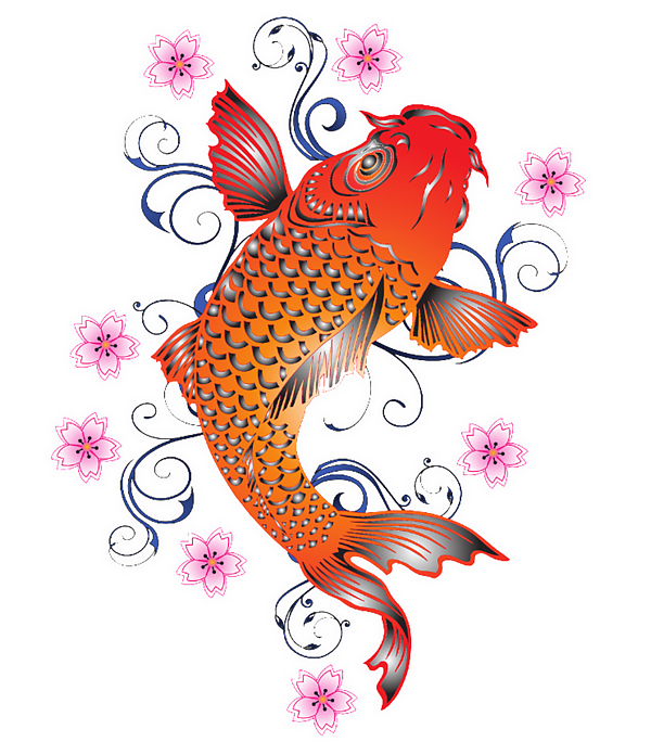 https://images.fineartamerica.com/images/artworkimages/medium/3/koi-carp-fish-tom-hill-transparent.png