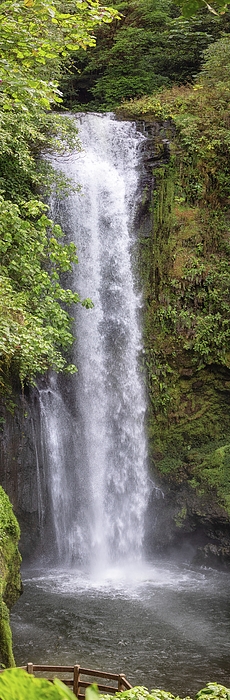 Teresa Wilson - La Paz Waterfall Vertical Panorama