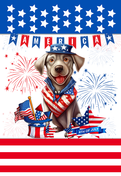 https://images.fineartamerica.com/images/artworkimages/medium/3/labrador-retriever-happy-4th-of-july-independence-fancy-lifestyle-transparent.png