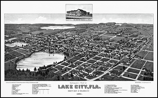 Carol Japp - Lake City Florida Vintage Map Birds Eye View 1885 Black and White