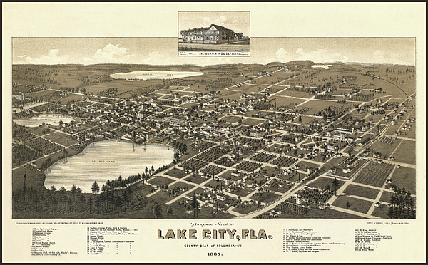 Carol Japp - Lake City Florida Vintage Map Birds Eye View 1885