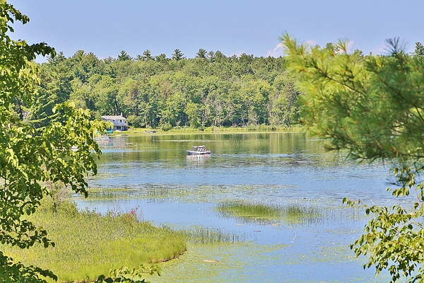 Nature Photographs