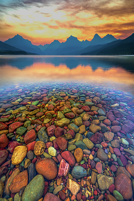 Montana Art