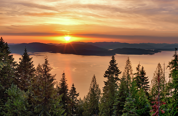 Sunset Art