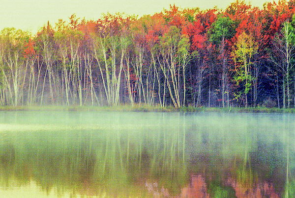 Lake Thornton In The Up_ls064 Photograph