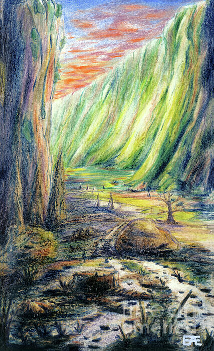 Tree Drawings