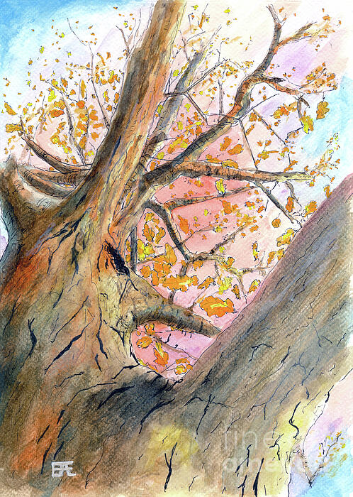 Serene Paintings