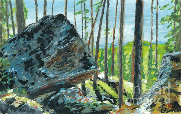 Wilderness Art