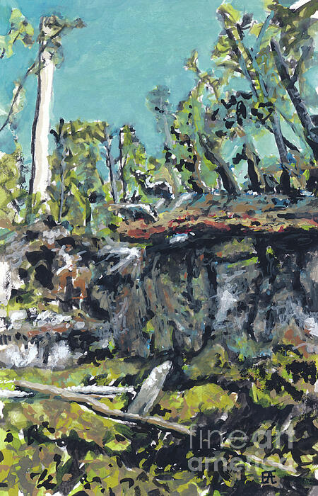 Forest Art