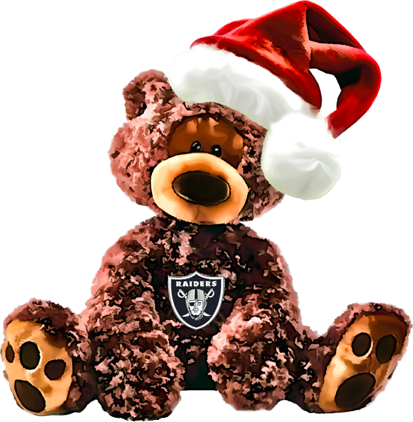 Las Vegas Raiders Jersey for Stuffed Animals