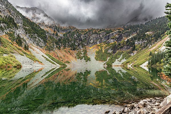 Nature Photographs