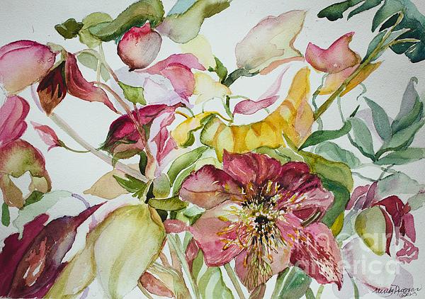 Mindy Newman - Lenten Roses and their falling petals