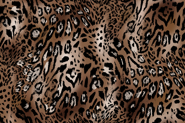 Premium Photo  A watercolor painting of a leopard with spots of different  colors.