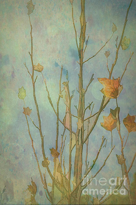 Impressionism Art