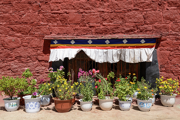 Eckart Mayer Photography - Lhasa old town flower lover
