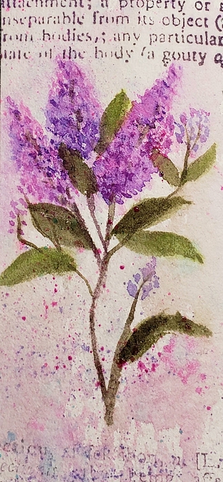 Delicate Art