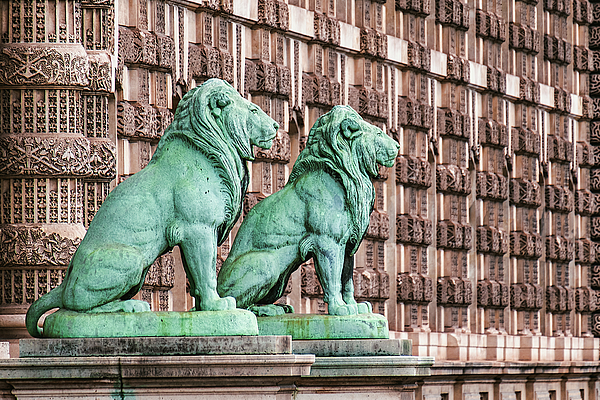 Stuart Litoff - Lions by the Louvre Museum - Paris