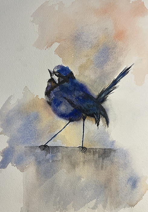 Bird Art