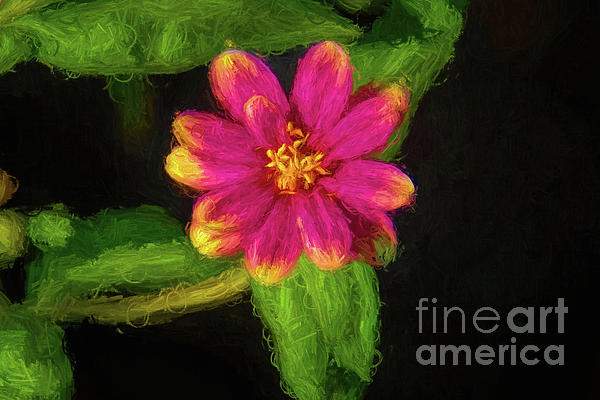 Diana Mary Sharpton - Little Painted Flower
