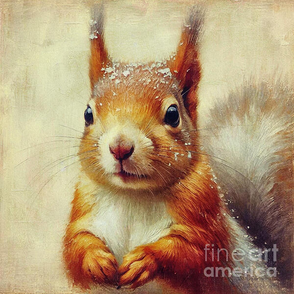 Maria Angelica Maira - Little Red Squirrel