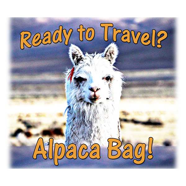 Bag- Alpaca Leather Adjustable Strap Messenger Bag Green - River Hill Ranch