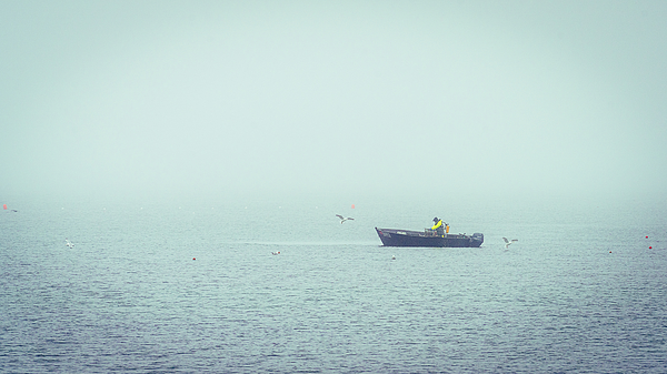 Wendi Donaldson Laird - Lone Fisherman